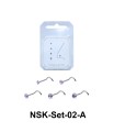 5 Silver Nose Stud Sets NSK-SET-02